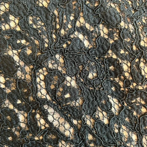 Adrianna Papell Black Lace Dress with Nude Lining - Picture 10 of 10